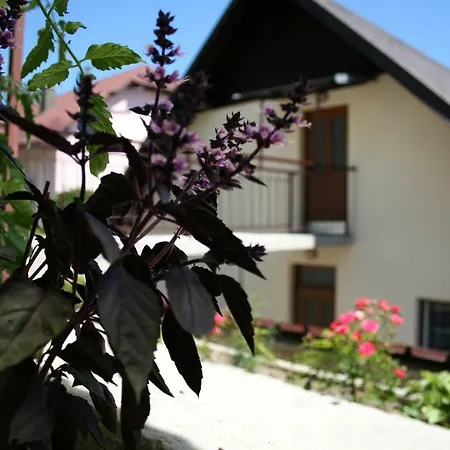 Apartment Apartma Center Bovec