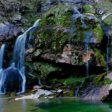 Apartment Apartma Center *