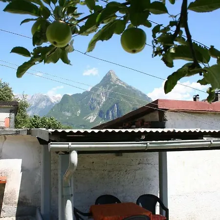 Apartma Center *
