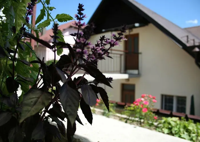 아파트 Apartma Center 보베츠