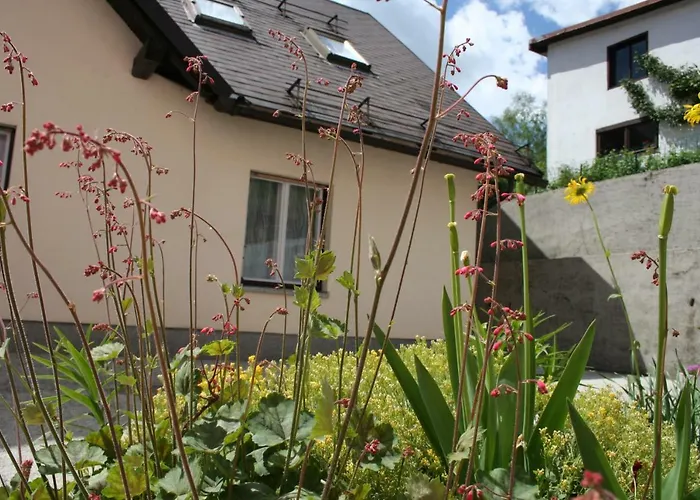 Apartma Center 아파트 보베츠